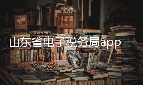 山东省电子税务局app下载