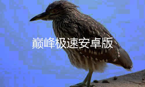 巅峰极速安卓版下载