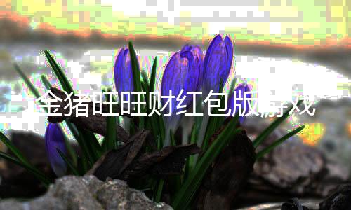 金猪旺旺财红包版游戏下载