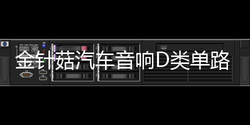 金针菇汽车音响D类单路大功率低音炮数字功放可推双12寸低音炮下载