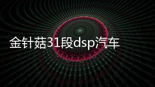 金针菇31段dsp汽车功放机4声道四路车载无损音响大功率音频处理器下载