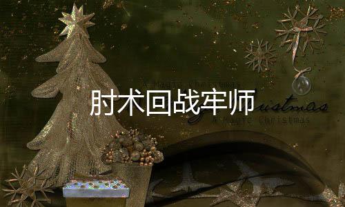 肘术回战牢师下载