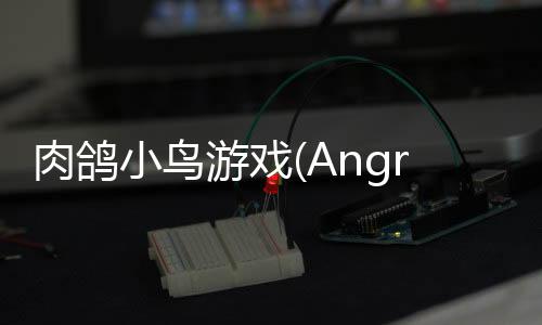 肉鸽小鸟游戏(AngryBirds rougelike)下载