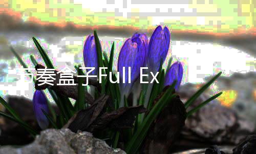 节奏盒子Full Expresskiarvochrome模组最新版下载
