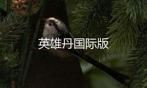 英雄丹国际版下载