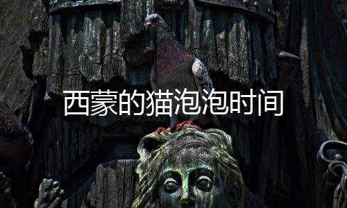 西蒙的猫泡泡时间下载