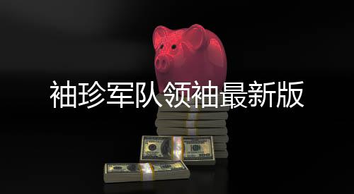 袖珍军队领袖最新版下载