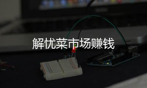 解忧菜市场赚钱下载