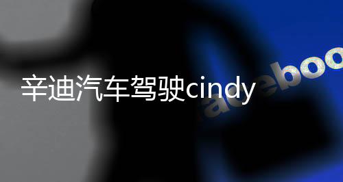 辛迪汽车驾驶cindycardrive模组下载