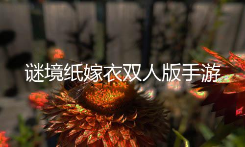谜境纸嫁衣双人版手游下载
