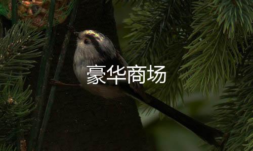 豪华商场下载