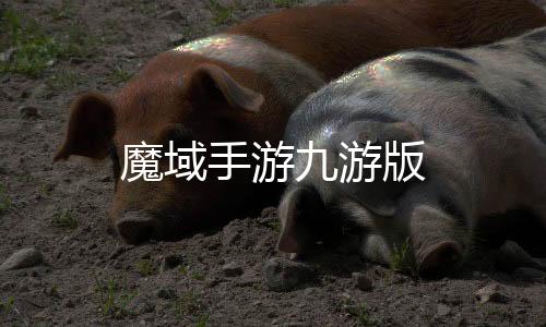 魔域手游九游版下载