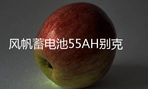 风帆蓄电池55AH别克老凯越1.6L景程雪佛兰乐风乐驰指南者汽车电瓶下载