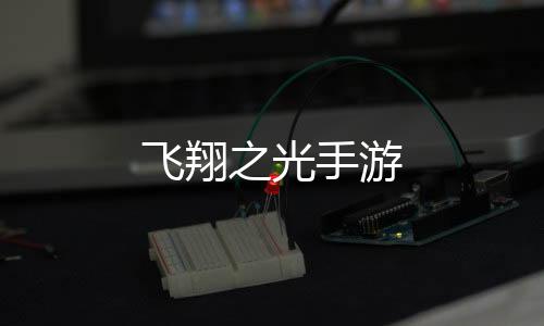 飞翔之光手游下载