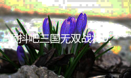 颤抖吧三国无双战将0.1折下载