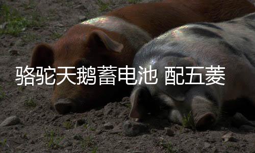 骆驼天鹅蓄电池 配五菱荣光之光宝骏310北汽车幻速S3汽车电瓶 48A下载