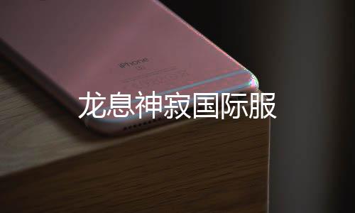 龙息神寂国际服下载
