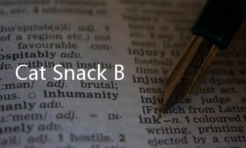 Cat Snack Bar游戏破解版下载