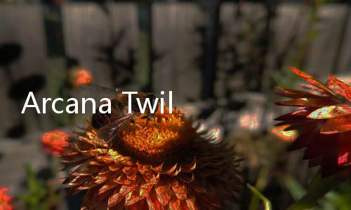 Arcana Twilight下载