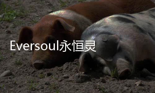 Eversoul永恒灵魂日服下载