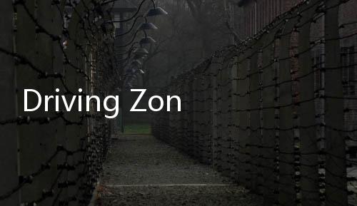 Driving Zone: Germany真人汽车驾驶德国安卓最新版下载