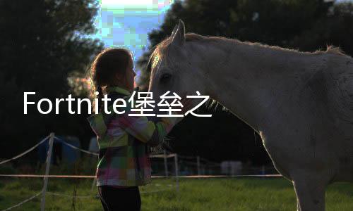 Fortnite堡垒之夜手机版国际服下载