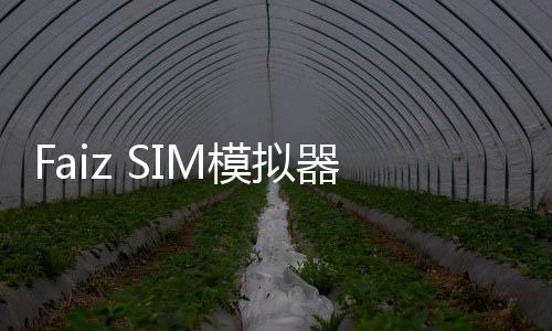 Faiz SIM模拟器下载