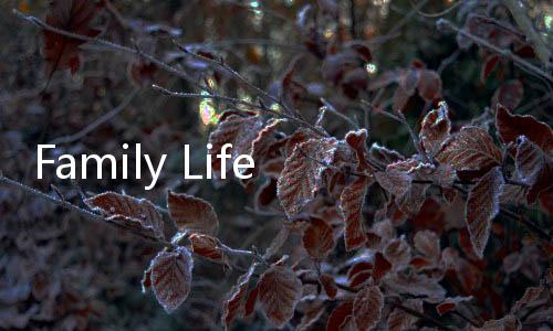 Family Life家庭生活免广告下载