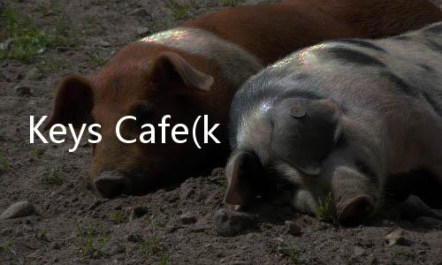 Keys Cafe(keyscafe多彩键盘)下载