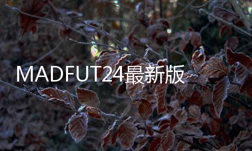 MADFUT24最新版本下载