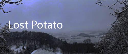 Lost Potato迷失土豆免广告下载