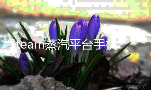 Steam蒸汽平台手机版下载