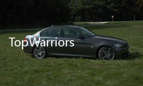 TopWarriors国际服下载