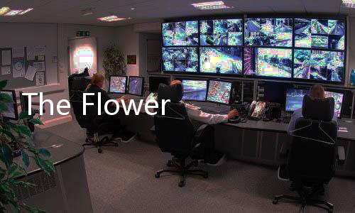 The Flower of Evil恶之花中文版下载
