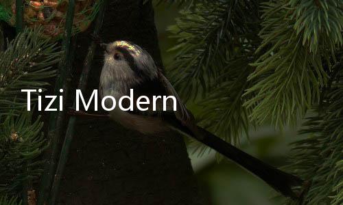Tizi Modern Home  Room Design最新版下载