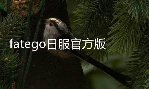 fatego日服官方版下载