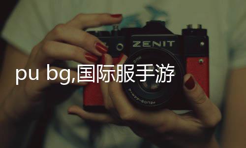 pu bg,国际服手游(BETA PUBG MOBILE)下载